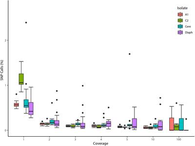 More Filtering on SNP Calling Does Not Remove Evidence of Inter-Nucleus Recombination in Dikaryotic Arbuscular Mycorrhizal Fungi